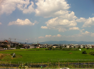 長岡京　風景